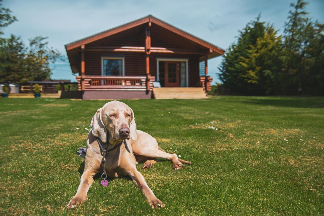 Tomatin - Luxury Two Bedroom Log Cabin With Hot Tub Berwick Upon Tweed Esterno foto